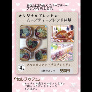 🌿ハーブティブレンド体験🌿の画像
