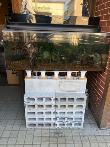 大型 アクリル水槽 1200×600×450