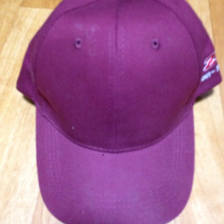 Zcar FiestaのTシャツとキャップの画像