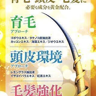 お試し大特価！育毛剤 男性 120ml [医薬部外品]【新感覚の育毛美容ジェル】の画像