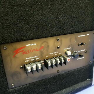 未使用 REMIX FSN-WX17L LEDブルーイルミ 　アンプ内蔵フルレンジウーファーの画像
