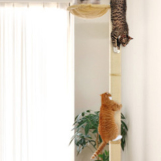 キャットツリー 突っ張り式