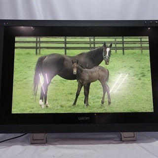 ワコム 液晶ペンタブレット 21.5インチ Cintiq22HD...