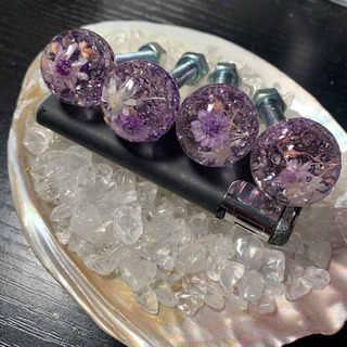 水中花 ナンバーボルト 4本セット紫の画像
