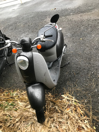 本田スクーピー