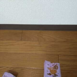 (有)ケーマック宮崎営業所　業務拡大の為　建物のリペア・クリーニング・営業社員　女性2名募集！！の画像
