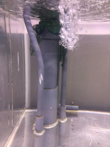 90×60×60オーバーフロー水槽