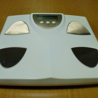 ELECTRONIC BODY FAT SCALE　体重計