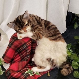 楽しい羊毛フエルト♡可愛いい動物が作れる教室 (=^・^=)の画像
