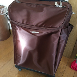 スワニー キャリーバッグ 訳あり