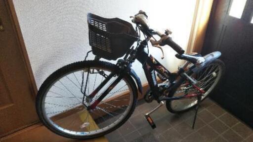 自転車パナソニックライダーjr.