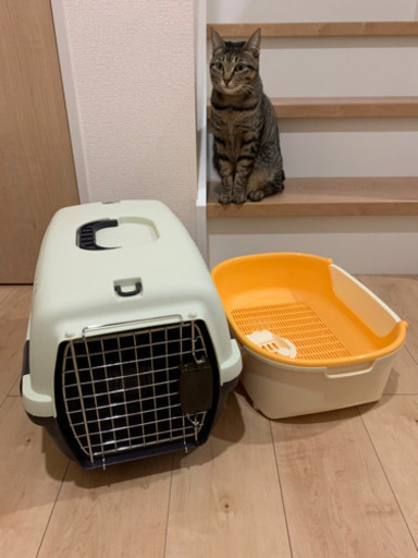 ペット　移動用　キャリー　　子猫用システムトイレ