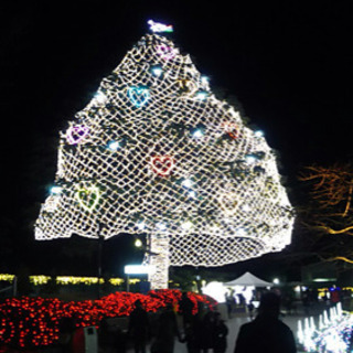 解体現場、軽作業スタッフ募集　入社祝い金50000円