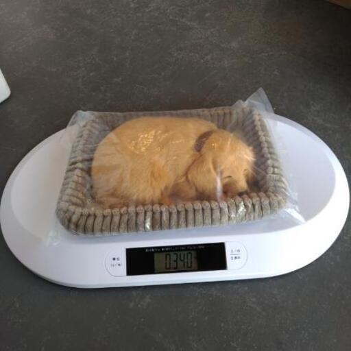 デジタルベビースケール