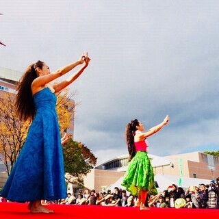 河内長野・大阪狭山でフラダンス ♪ ★フラ リコリノ Hula Liko Lino★南大阪　奥河内　橋本市　堺市　富田林市　河南町の画像