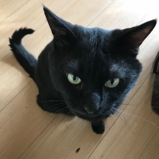 もの凄く甘えん坊のルーク