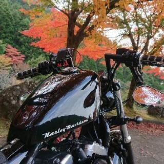 11月29日(金)ツーリング行きませんか？＼(^^)／