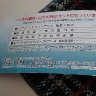 ハワイアンズ株主優待券の画像