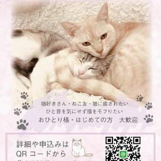 ❇️12/22(日)開催 猫好きが集まるなごやかオフ会😻✨✨ - 港区