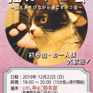 ❇️12/22(日)開催 猫好きが集まるなごやかオフ会😻✨✨