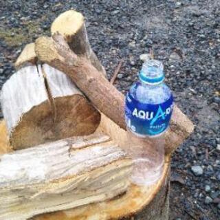 【在庫５０kg】焚き火向け！広葉樹ブナの端材薪！１シーズン乾燥。...