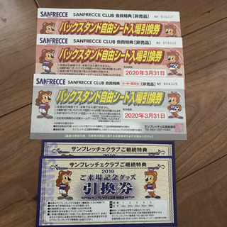 サンフレッチェ広島 チケット バックスタンド自由シート引換券 グ...