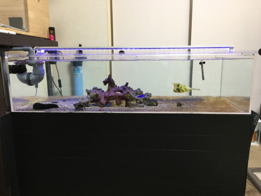 アクリル水槽　120×60×30  台、濾過槽付き