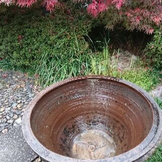 大きな鉢の画像