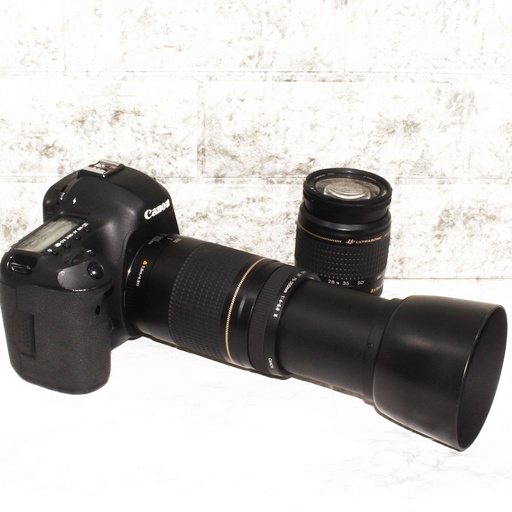 ★高画質2230万画素★キヤノン 5D マーク3 超望遠300mm ダブルズームセット★
