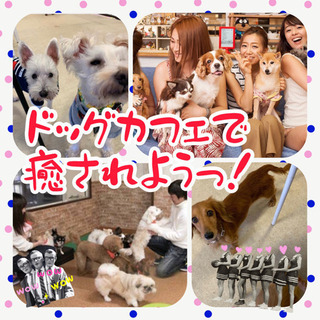 🚩犬好き女子check❣️🐶🐱