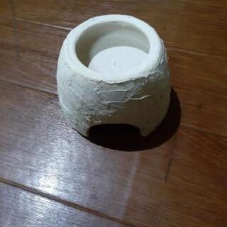 爬虫類シェルター