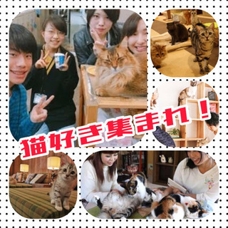 🐈猫好き女子🙌💓集まれ〜❣️