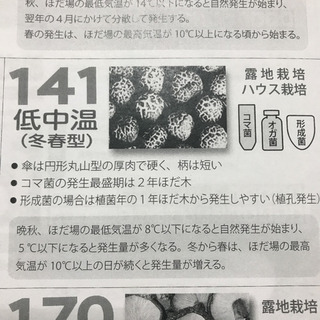 【はるベジ★】原木栽培の生しいたけ。肉厚で美味しいです！！の画像