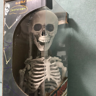 ガイコツの人形の画像