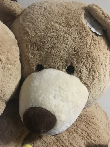 コストコ　くまぬいぐるみ