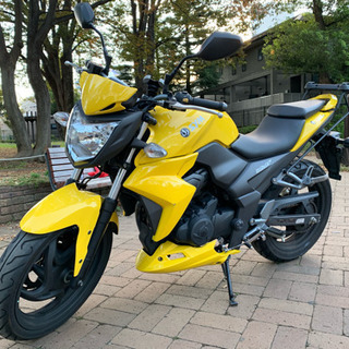 250cc ネイキッド バイクの画像