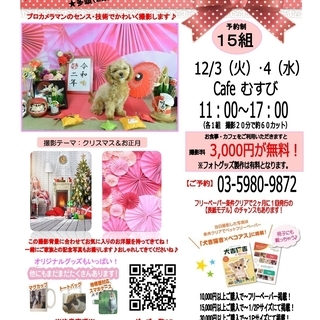 【Ｃａｆｅむすび】12/4（水）ペット撮影会「Photojoy!...