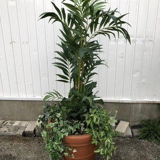 高級ホテル展示品 フェイクグリーン 人工観葉植物 人工樹木 高さ...