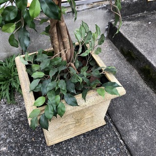 高級ホテル展示品 フェイクグリーン 人工観葉植物 人工樹木 高さ135cm 造花 鉢植え インテリア② 美容室 雑貨 喫茶店の画像