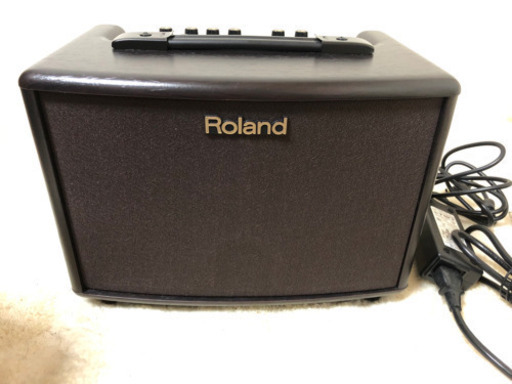 楽器 Roland acoustic chorus AC-33
