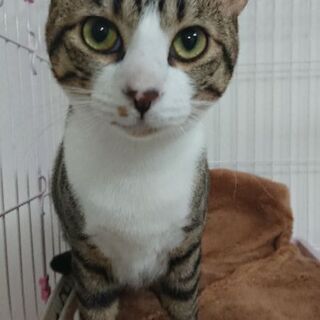 人見知りなし！甘えん坊でとっても元気な男の子