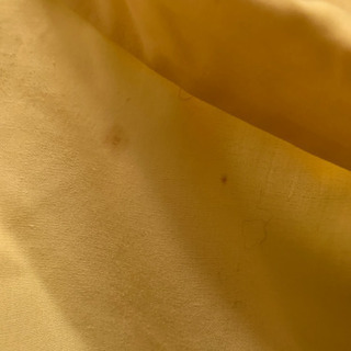 黄色のシャツの画像