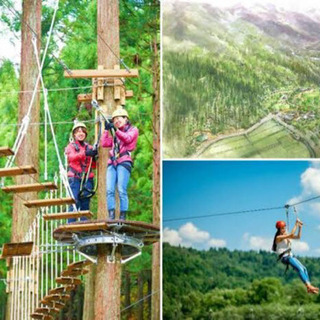 ✨🌈🌳大人のアスレチック🌲🌈✨