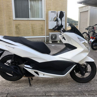 ホンダ　PCX125 JF56 パールホワイト　自賠責付き！