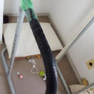 懸垂　ダンベル　セット　ダイエット　筋トレの画像