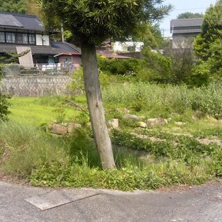 農地　350坪　購入されましたら490坪山林　差し上げます。
