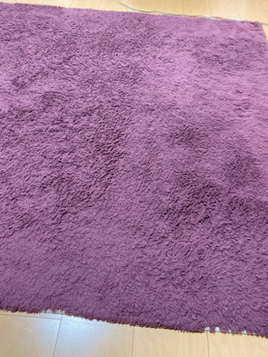 Francfrancのラグ！ピンク？紫？？