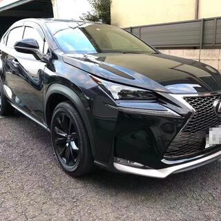 NX200の画像