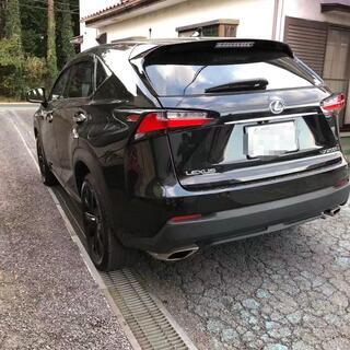 NX200の画像