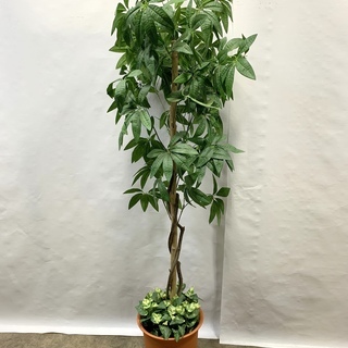 高級ホテル特注品 フェイクグリーン 人工観葉植物 人工樹木 高さ...